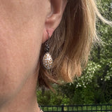 Cowrie Shell Earrings