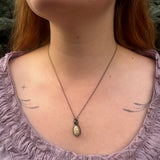 Cowrie Shell Necklace