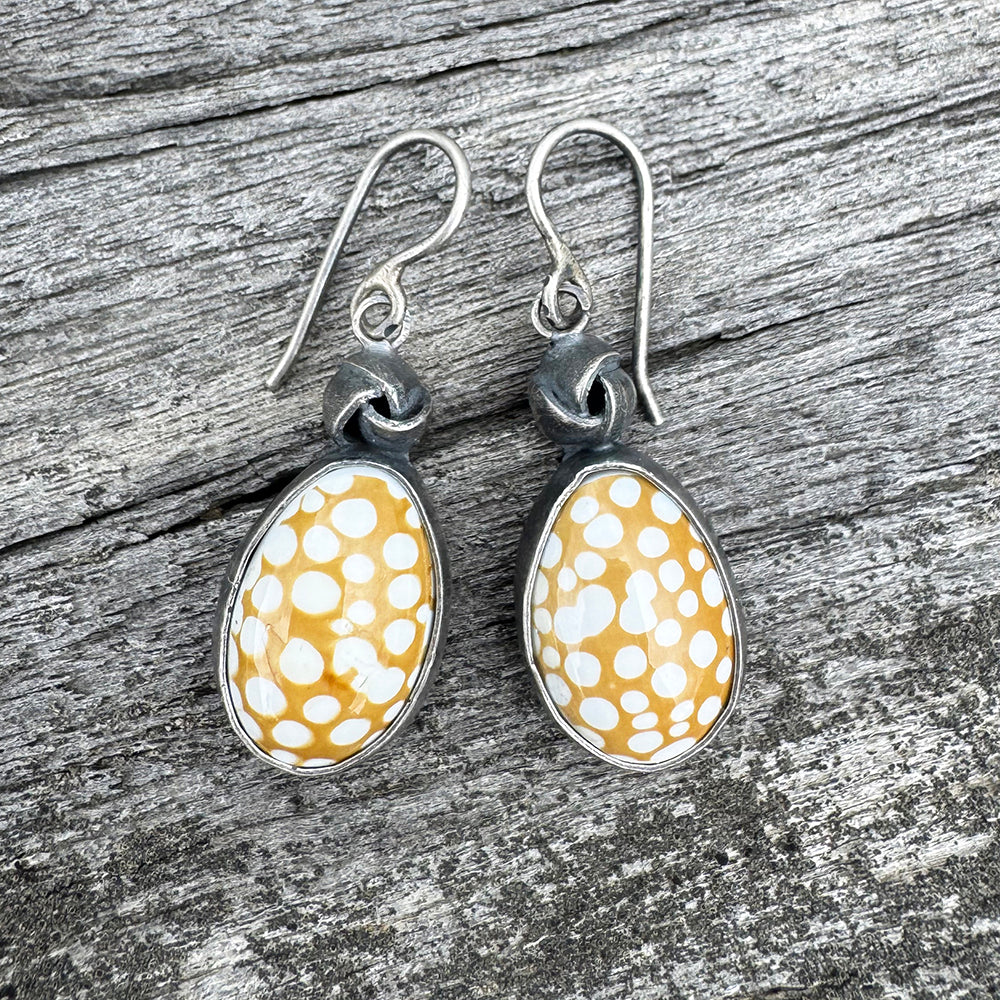 Cowrie Shell Earrings
