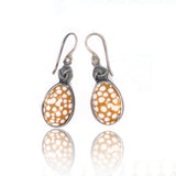 Cowrie Shell Earrings