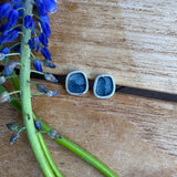 Winsor Blue Posts