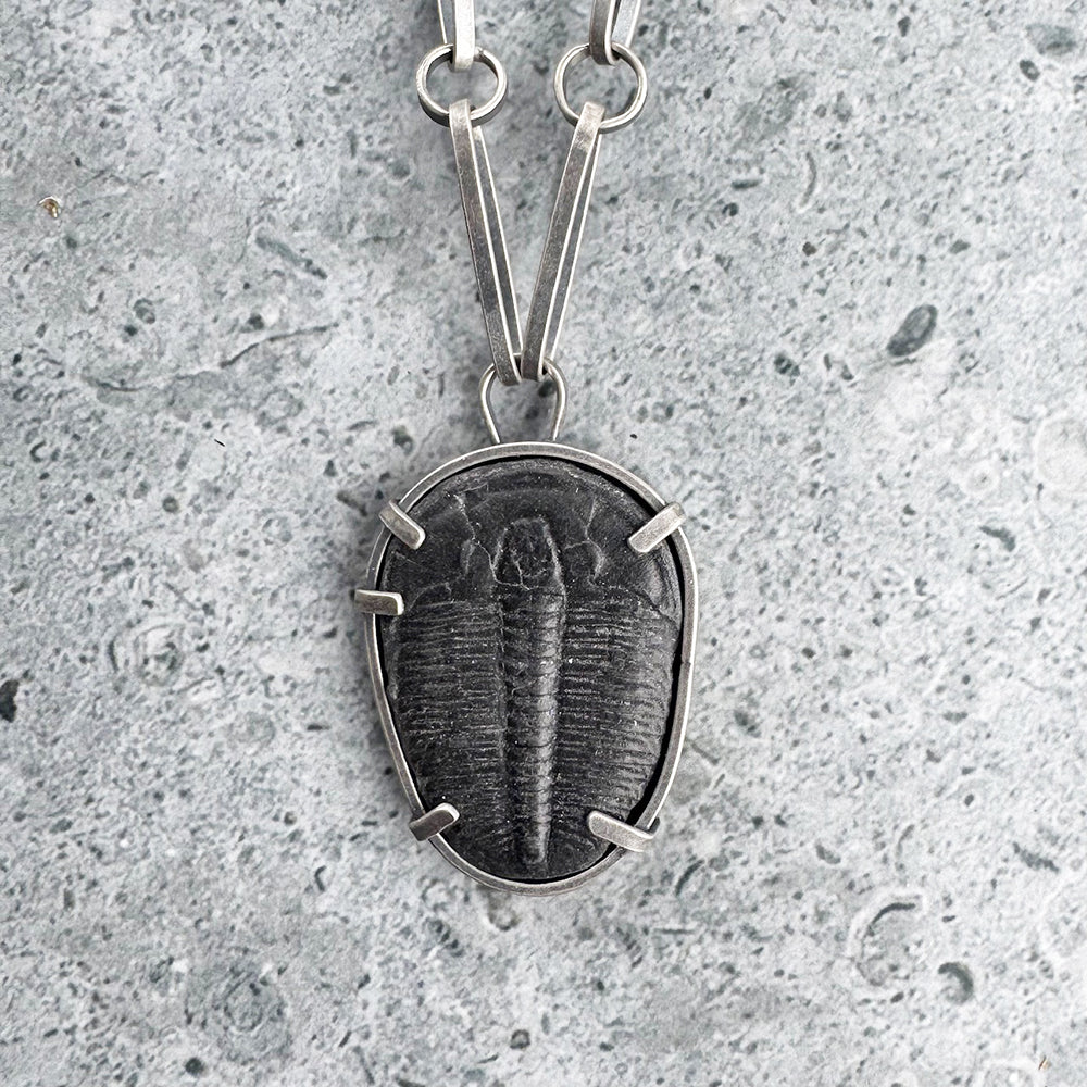 Trilobite Necklace