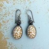 Cowrie Shell Earrings