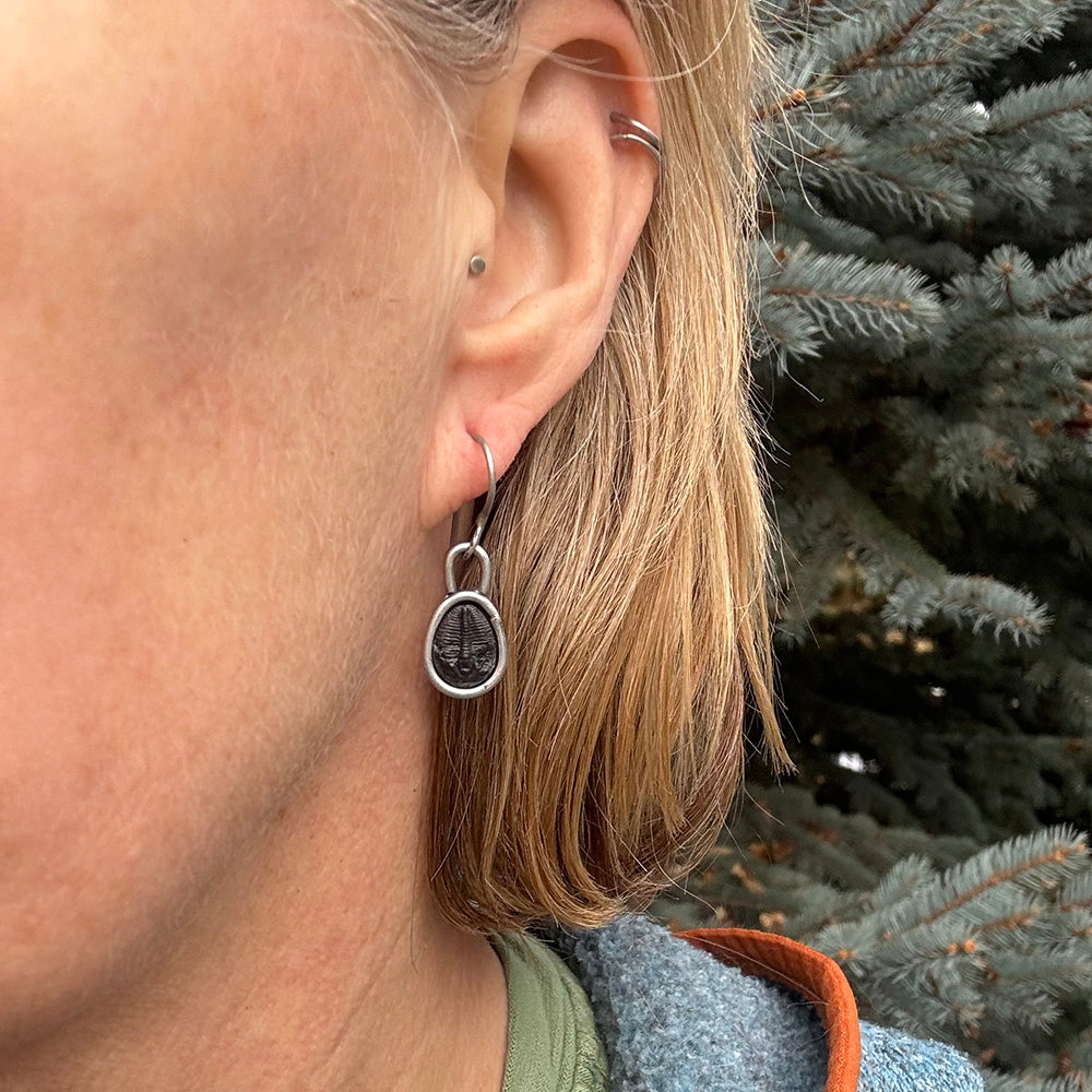 Trilobite Earrings